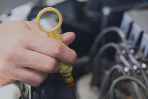oil change in auckland, mt eden and st lukes